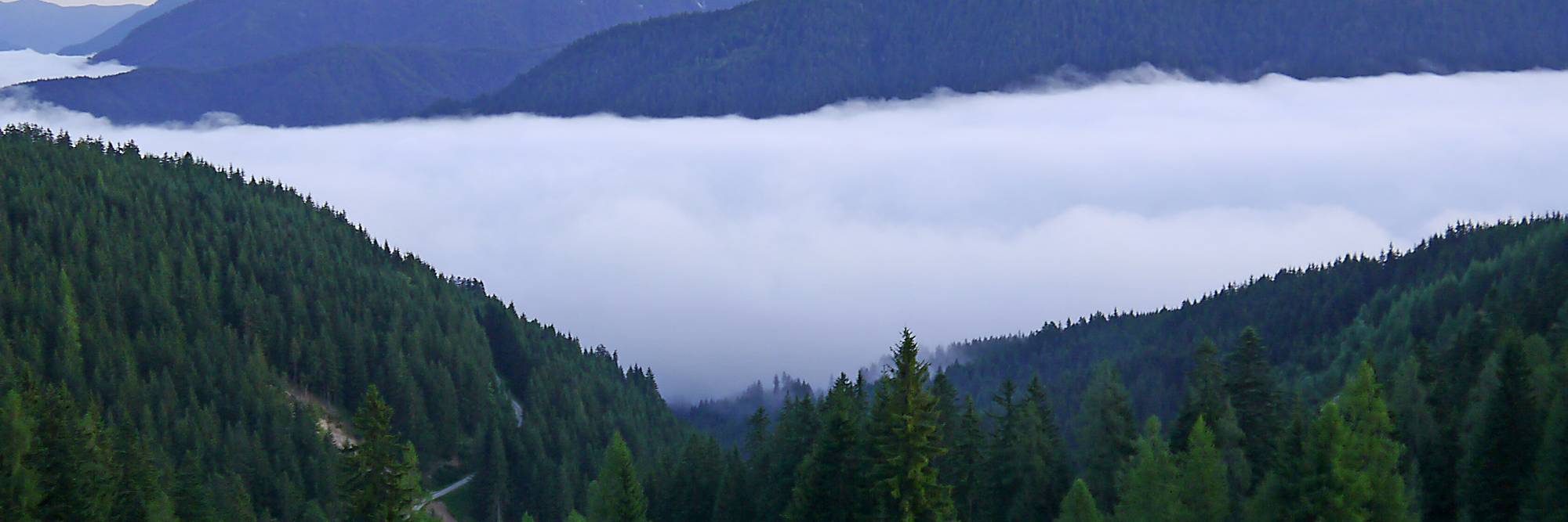 Einfach leben – einfach Leben
